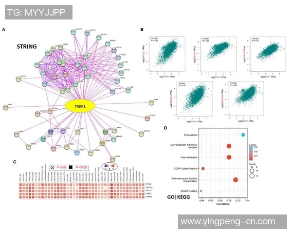 F1赛车手体能训练与心理调节方法解析及其对赛道表现的影响
